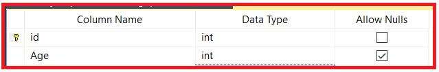 Picture showing the table in design mode